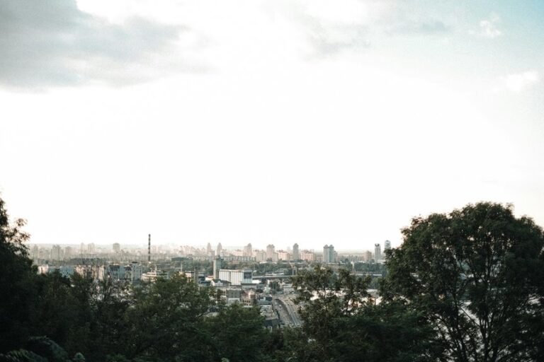 bold expansion fuels market advantage